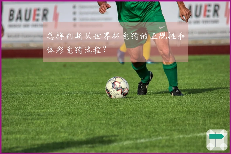 怎样判断买世界杯竞猜的正规性和体彩竞猜流程？