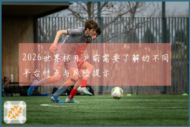 2026世界杯开户前需要了解的不同平台特点与风险提示