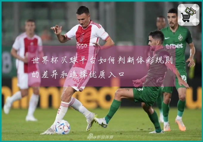世界杯买球平台如何判断体彩规则的差异和选择优质入口