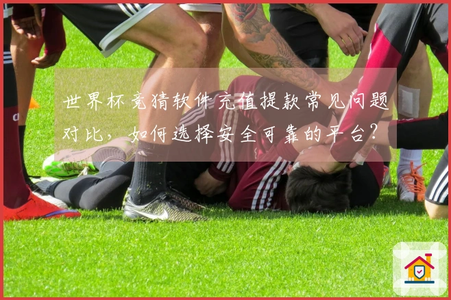 世界杯竞猜软件充值提款常见问题对比，如何选择安全可靠的平台？