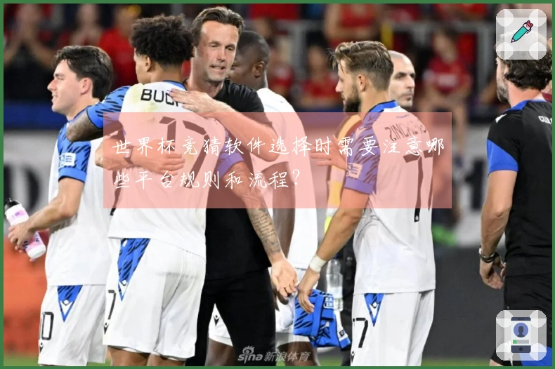世界杯竞猜软件选择时需要注意哪些平台规则和流程？